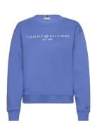 Mdrn Reg Corp Logo C-Nk Swtshrt Tops Sweatshirts & Hoodies Sweatshirts Blue Tommy Hilfiger