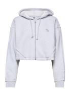 Crop Full-Zip Loungewear Hoodie Sport Sweatshirts & Hoodies Hoodies Grey Adidas Originals