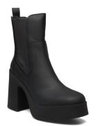 Climate Bootie Shoes Boots Ankle Boots Ankle Boots With Heel Black Steve Madden