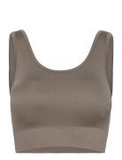 Soft Rib Seamless Crop Top Sport Bras & Tops Sports Bras - All Brown Moonchild Yoga Wear