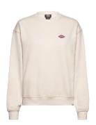 Millersburg Sweatshirt W Tops Sweatshirts & Hoodies Sweatshirts Cream Dickies