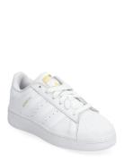 Superstar Xlg J Sport Sneakers Low-top Sneakers White Adidas Originals