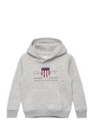 Archive Shield Raglan Hoodie Tops Sweatshirts & Hoodies Hoodies Grey GANT