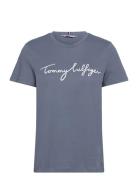 Reg C-Nk Signature Tee Ss Tops T-shirts & Tops Short-sleeved Blue Tommy Hilfiger