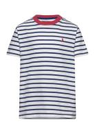 Striped Cotton Jersey Tee Tops T-Kortærmet Skjorte Multi/patterned Ralph Lauren Kids