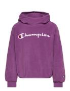 Hooded Sweatshirt Sport Sweatshirts & Hoodies Hoodies Purple Champion