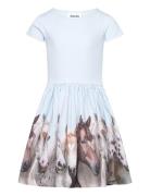 Cissa Dresses & Skirts Dresses Casual Dresses Short-sleeved Casual Dresses Blue Molo