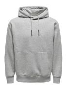 Onsceres Hoodie Sweat Noos Tops Sweatshirts & Hoodies Hoodies Grey ONLY & SONS