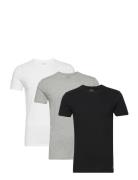 Slim Crewneck 3-Pack Tops T-Kortærmet Skjorte Black Polo Ralph Lauren Underwear