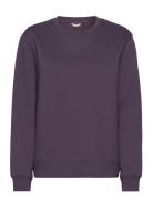 Centre Crew Sport Sweatshirts & Hoodies Sweatshirts Purple Björn Borg