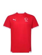 Teamliga Jersey Sport T-Kortærmet Skjorte Red PUMA