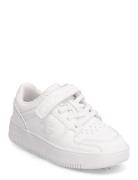 Rebound 2.0 Low B Ps Low Cut Shoe Sport Sneakers Low-top Sneakers White Champion