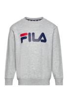 Babina Greda Classic Logo Crew Sweat Sport Sweatshirts & Hoodies Sweatshirts Grey FILA