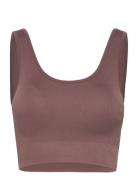 Soft Rib Seamless Crop Top Sport Bras & Tops Sports Bras - All Brown Moonchild Yoga Wear