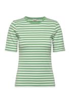 Slim Striped 1X1 Ribbed Ss T-Shirt Tops T-shirts & Tops Short-sleeved Green GANT