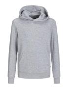 Jjebradley Sweat Hood Noos Jnr Tops Sweatshirts & Hoodies Hoodies Grey Jack & J S