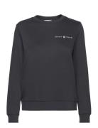 Reg Printed Graphic C-Neck Tops Sweatshirts & Hoodies Sweatshirts Black GANT