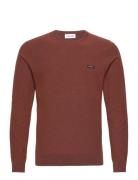 Cotton Nylon Mouline Sweater Tops Knitwear Round Necks Burgundy Calvin Klein