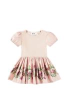 Caitlin Dresses & Skirts Dresses Baby Dresses Short-sleeved Baby Dresses Pink Molo