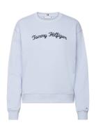 Mdrn Reg Script Sweatshirt Tops Sweatshirts & Hoodies Sweatshirts Blue Tommy Hilfiger