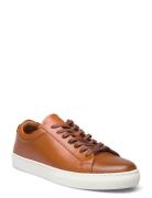 Biaajay 2.0 Crust Low-top Sneakers Brown Bianco