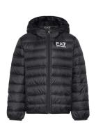 Down Jacket Foret Jakke Black EA7