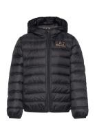 Down Jacket Foret Jakke Black EA7