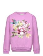 Noomi Collegetröja Tops Sweatshirts & Hoodies Sweatshirts Pink Ma-ia Family