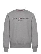 Tommy Logo Sweatshirt Tops Sweatshirts & Hoodies Sweatshirts Grey Tommy Hilfiger