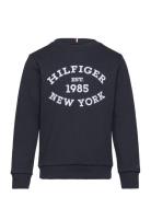 Monotype Flock Reg Sweatshirt Tops Sweatshirts & Hoodies Sweatshirts Navy Tommy Hilfiger