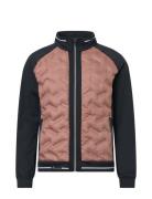 Lds Grove Hybrid Jacket Sport Sport Jackets Pink Abacus