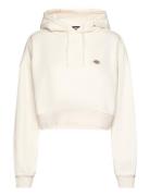 Oakport Cropped Hoodie Tops Sweatshirts & Hoodies Hoodies Cream Dickies