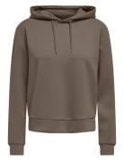 Onplounge Life Hood Ls Swt Noos Sport Sweatshirts & Hoodies Hoodies Brown Only Play