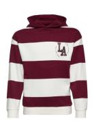 Collegetroja Academy Tops Sweatshirts & Hoodies Hoodies Multi/patterned Mango