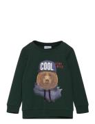 Nmmlabear Sweat Unb Tops Sweatshirts & Hoodies Sweatshirts Green Name It