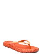 Flipflop With Glitter Shoes Summer Shoes Sandals Flip Flops Orange Ilse Jacobsen