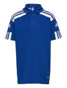 Squadra21 Polo Youth Tops T-shirts Polo Shirts Short-sleeved Polo Shirts Blue Adidas Performance