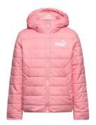 Ess Hooded Padded Jacket Sport Jackets & Coats Puffer & Padded Pink PUMA