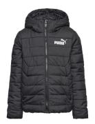 Ess Hooded Padded Jacket Sport Jackets & Coats Puffer & Padded Black PUMA