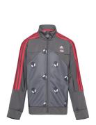 Lb Dy Sm Tt Sport Tracksuits Grey Adidas Sportswear