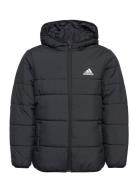 Jk Pad Jkt Sport Jackets & Coats Puffer & Padded Black Adidas Sportswear