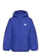 Padded Jacket Kids Sport Jackets & Coats Puffer & Padded Blue Adidas Sportswear