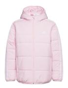 3-Stripes Padded Jacket Kids Sport Jackets & Coats Puffer & Padded Pink Adidas Sportswear