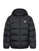 Lk Sd Jkt Outerwear Jackets & Coats Winter Jackets Black Adidas Sportswear