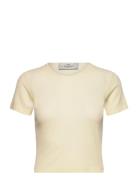 Rib Baby Tee Designers T-shirts & Tops Short-sleeved Cream Les Coyotes De Paris