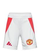 Manchester United Fc H Sho Y Sport Shorts Sport Shorts White Adidas Performance