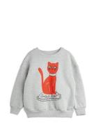 Cat Sp Sweatshirt Tops Sweatshirts & Hoodies Sweatshirts Grey Mini Rodini