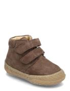 Shoes - Flat - With Velcro High-top Sneakers Brown ANGULUS