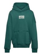 Cnvn Relaxed Flc Po Hoodie / Cnvn Relaxed Flc Po Hoodie Tops Sweatshirts & Hoodies Hoodies Green Converse