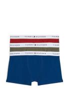 3P Trunk Night & Underwear Underwear Underpants Multi/patterned Tommy Hilfiger